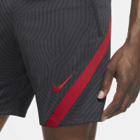 Nike Liverpool Dry Strike Trainingsset 2020-2021 Lichtgrijs Antraciet