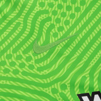 Nike Vitesse Keepersshirt Lange Mouwen 2020-2021 Groen
