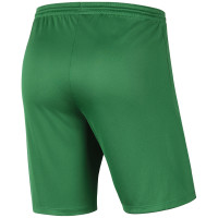 Alexandria 66 Keepersshort Junior Groen