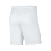 GZV Watergras Home Short