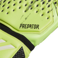 adidas Predator Keepershandschoenen Match FS Groen Zwart Wit
