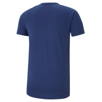 PUMA EVOSTRIPE T-Shirt Blauw