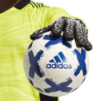 adidas Predator Pro Keepershandschoenen Zwart Grijs Wit