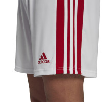 adidas Squadra 21 Trainingsset Rood Wit