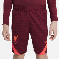 Nike Liverpool Strike Trainingsset 2021-2022 Kids Bruin Rood