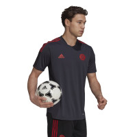 adidas Bayern Munchen Trainingsshirt 2021-2022 Grijs